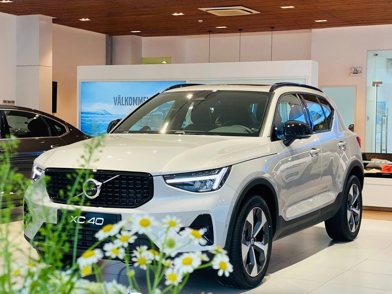 Đánh giá chi tiết Volvo XC40 màu trắng - Mẫu SUV 